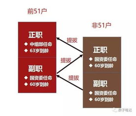 你不知道的央企級別 揭開體制內(nèi)的神秘面具與企業(yè)資產(chǎn)管理
